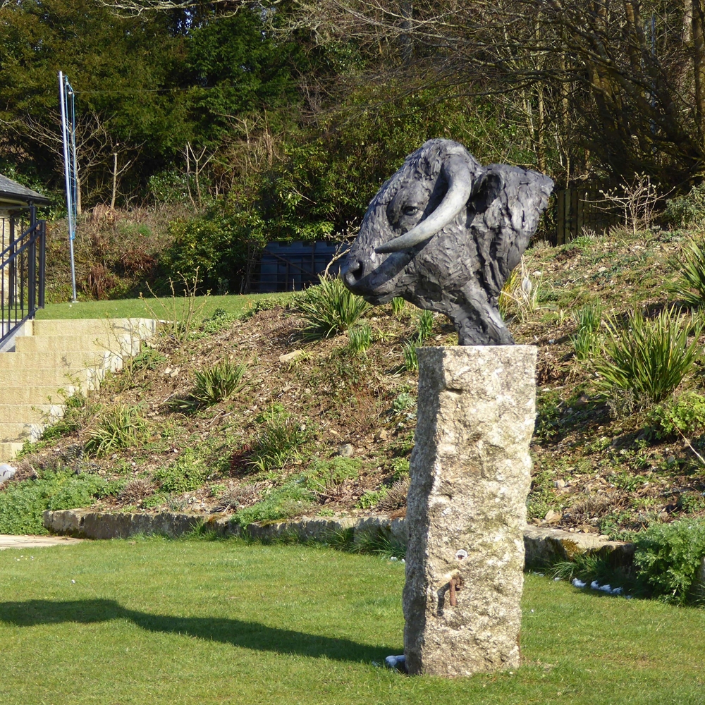 Long Horn Bull Head by Hamish Mackie at Muse. The Sculpture Company
