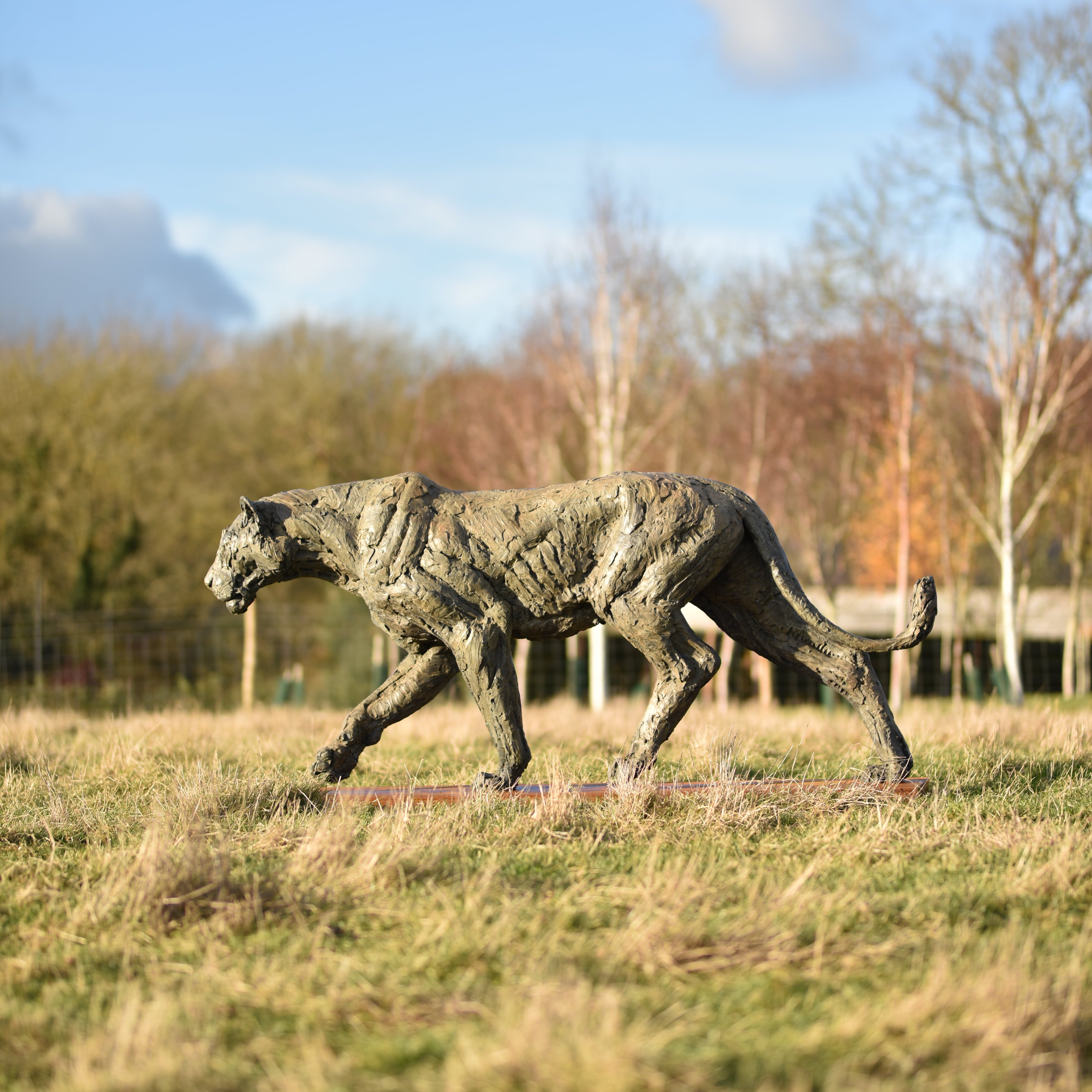 Lioness, Life Size by Hamish Mackie at Muse. The Sculpture Company