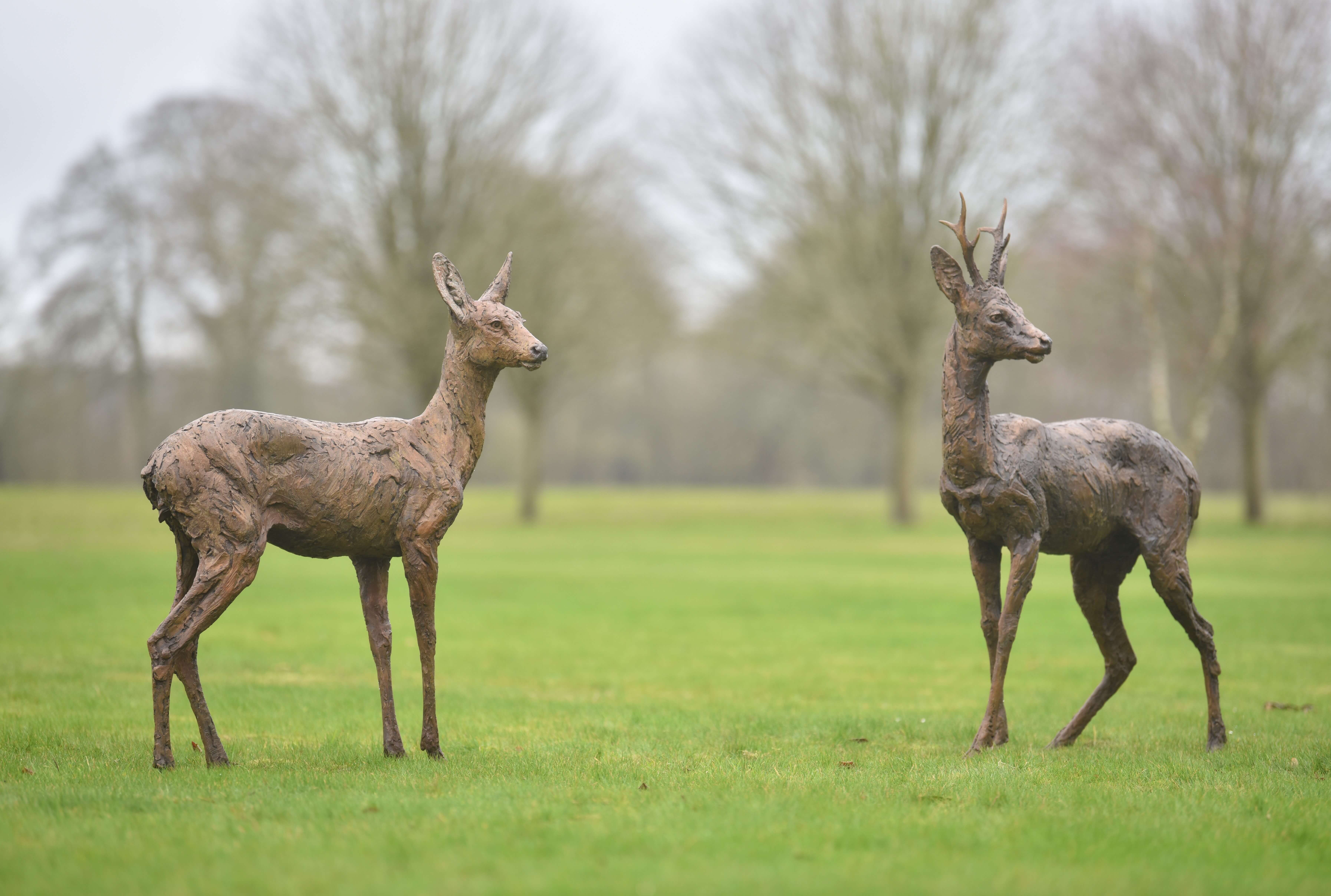 Roe Buck and Doe Standing
