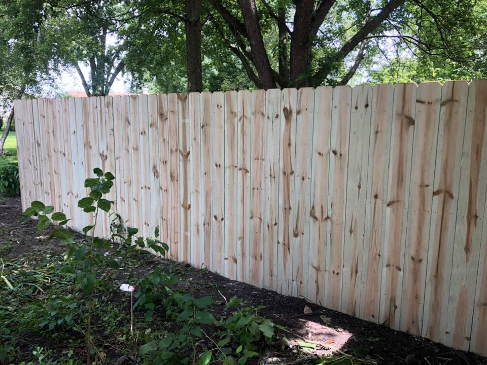 treated dog ear fence