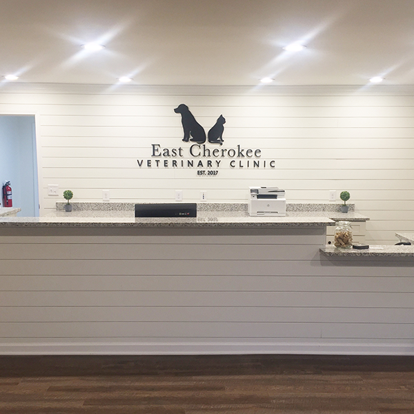 Hospitalization Services East Cherokee Vet Clinic