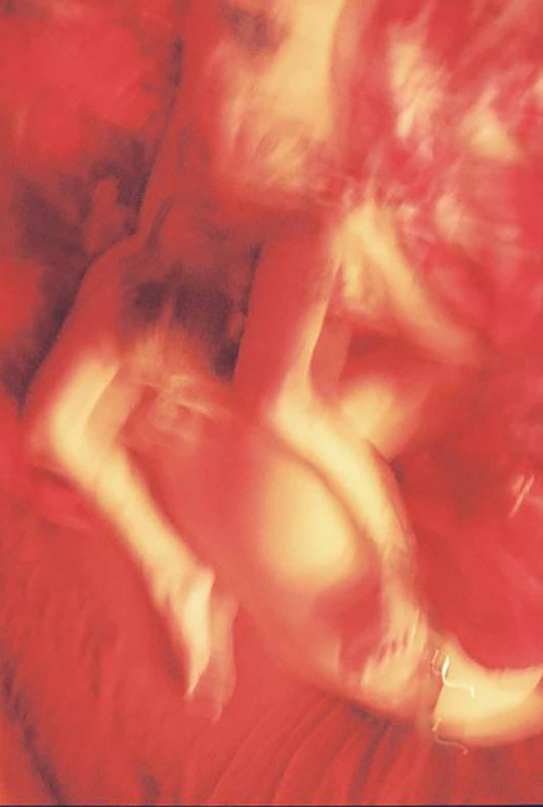 Coyote Park, Crimson and Clover