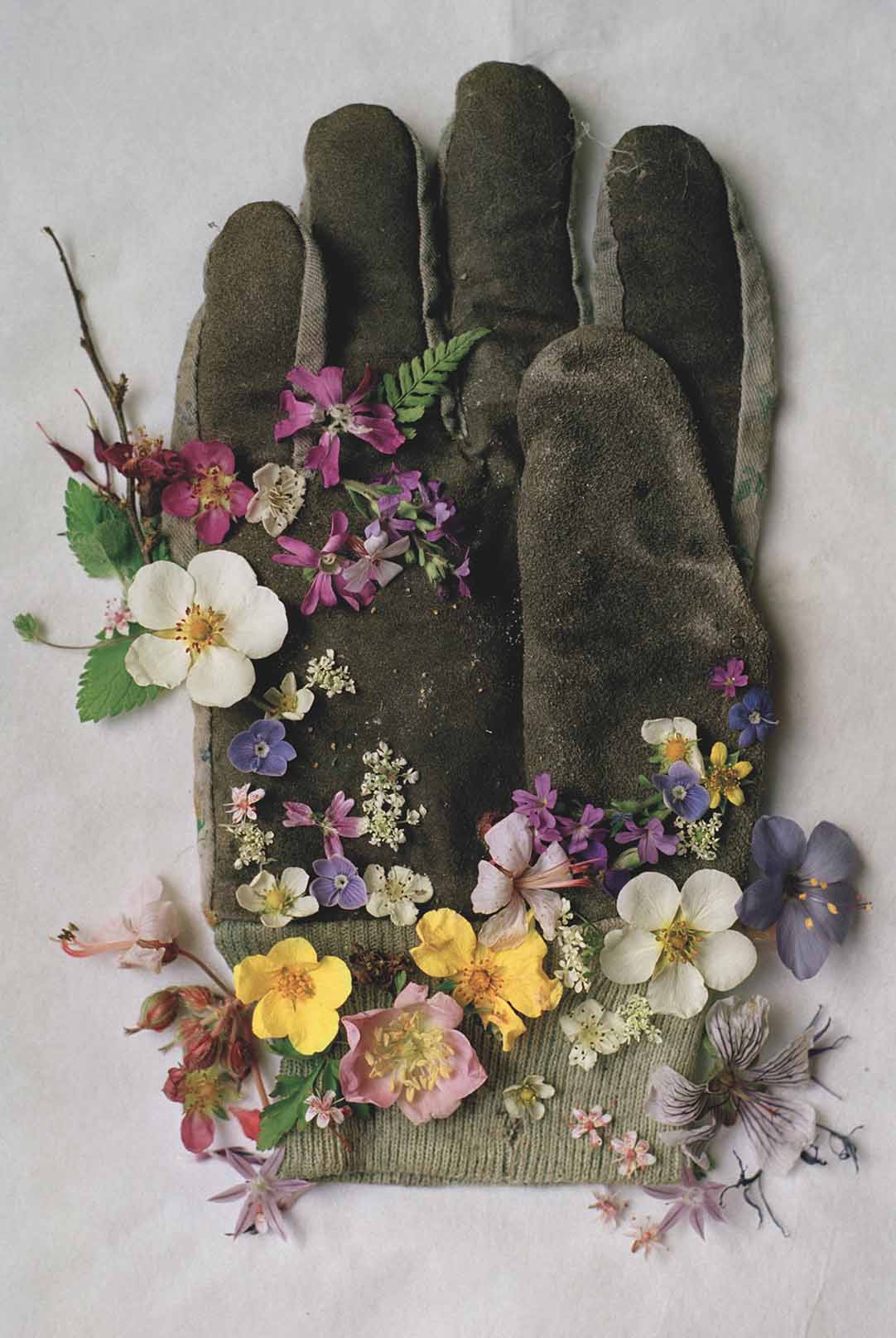 Tim Walker, Gardening Glove, Northumberland, England, 1998