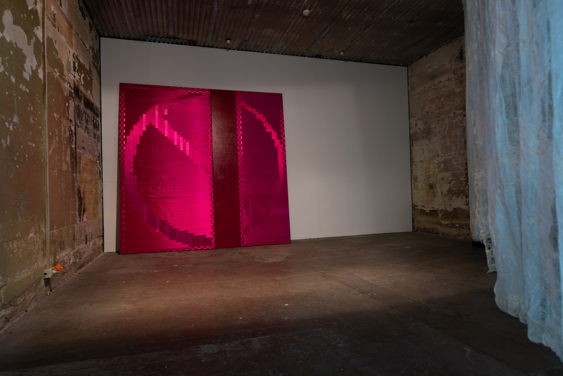 Fiona Davies is a visual artist whose practice is a trans disciplinary collaborative investigation into the systems, materials and processes of medicalised death in ICU. Photo credit Alex Wisser