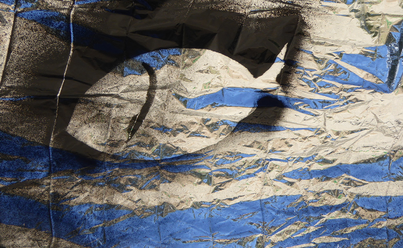 Regine uses found objects, photographic media, printmaking and installations to respond to her physical, social and political environment.