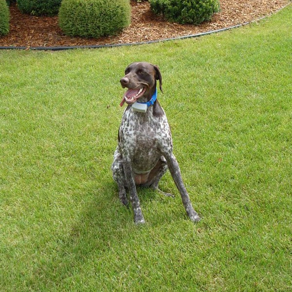 Receivers Dog Guard of Wisconsin