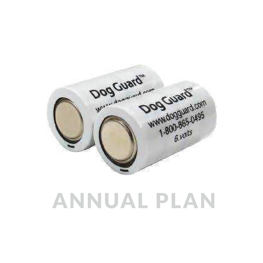 Annual Battery Plan