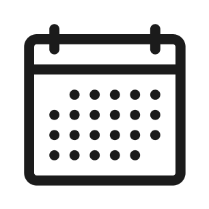 flash icon