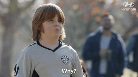 GIF of a boy repeatedly asking the question, "Why?"