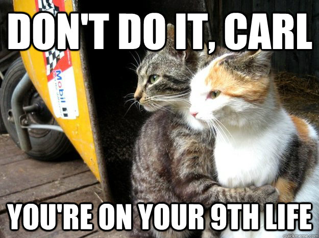 Dont-do-it-kitty.jpg