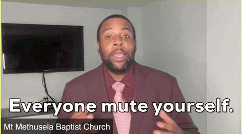 GIF of a man looking at the camera saying "Everyone mute yourself."