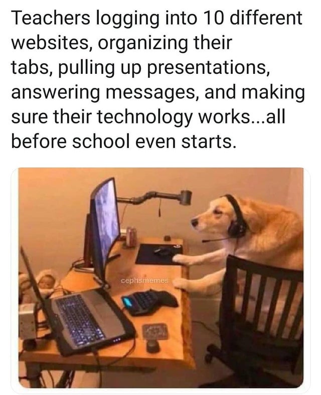 dog monitor meme.jpg