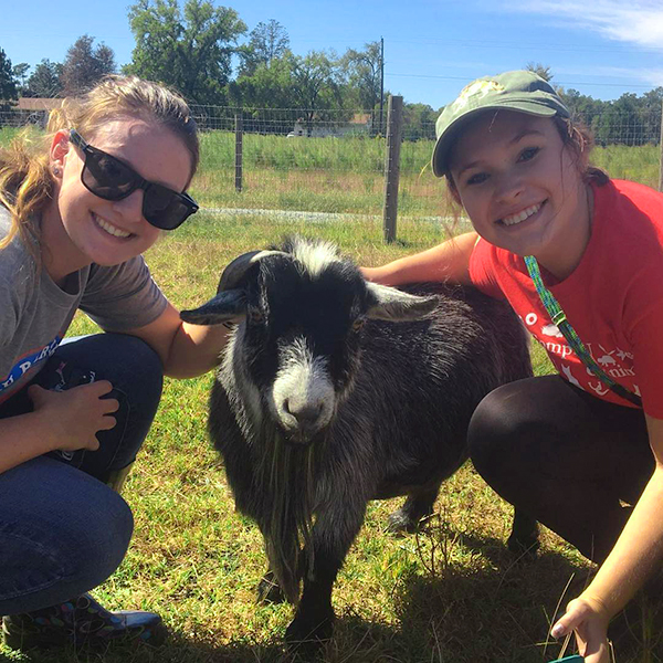 Two volunteer womxn with a rescue goat on grass while smiling