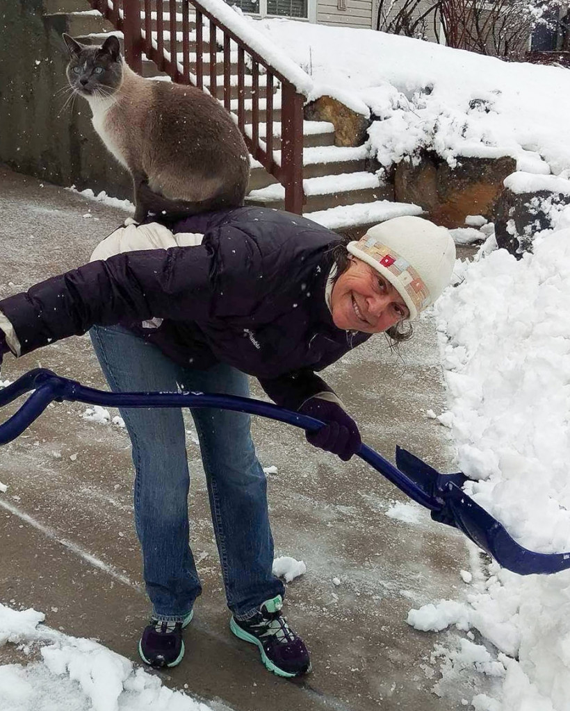 Katherine Aeby’s cat, Sprout, supervising her shoveling snow after a storm. | Katherine Aeby