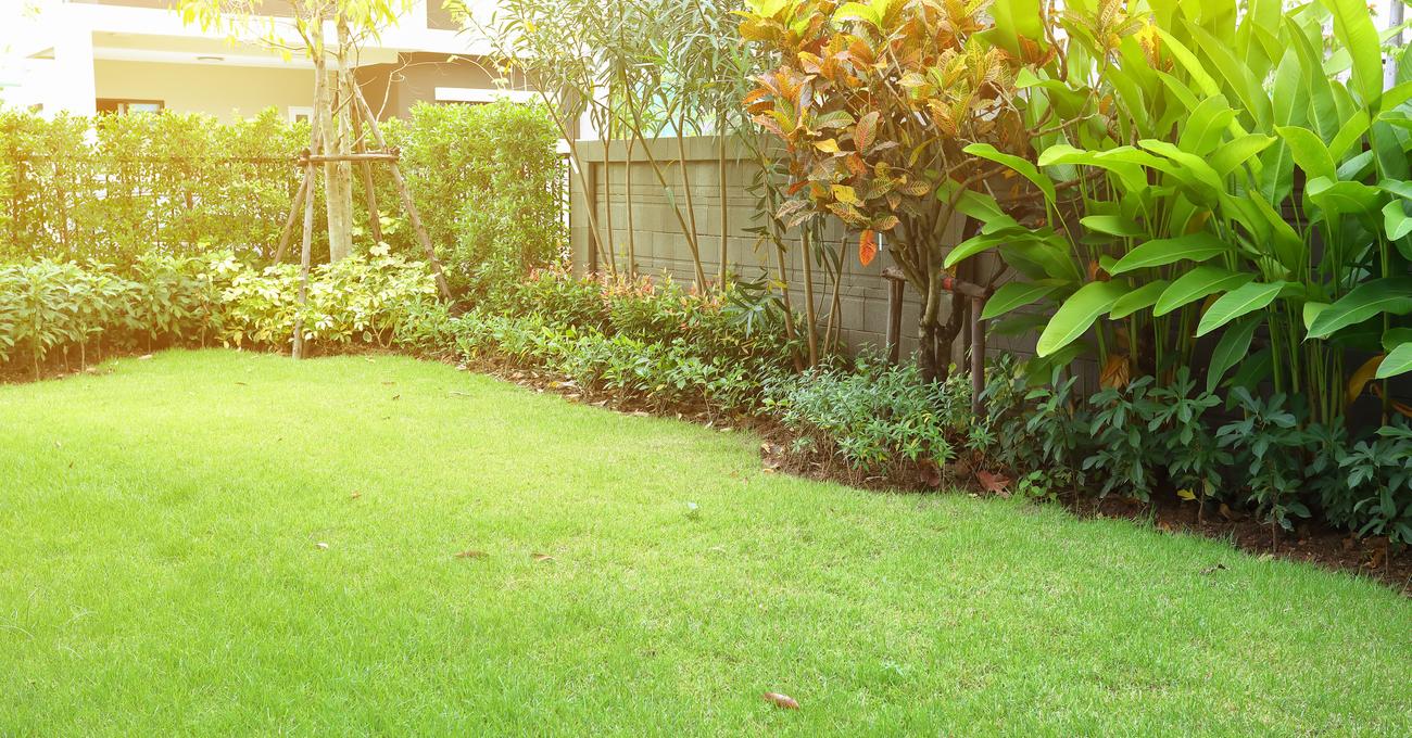 Best Bushes for Small Gardens | Retire Fearless