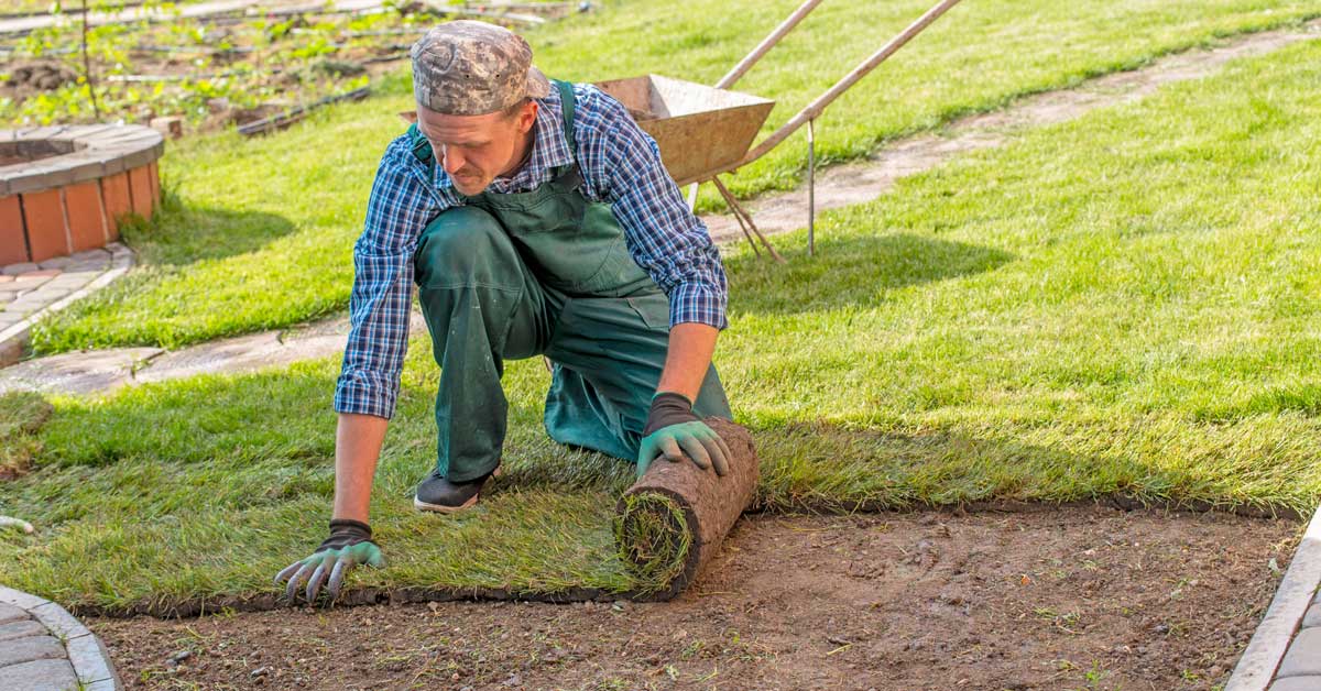 How to Plant Grass Runners Retire Fearless