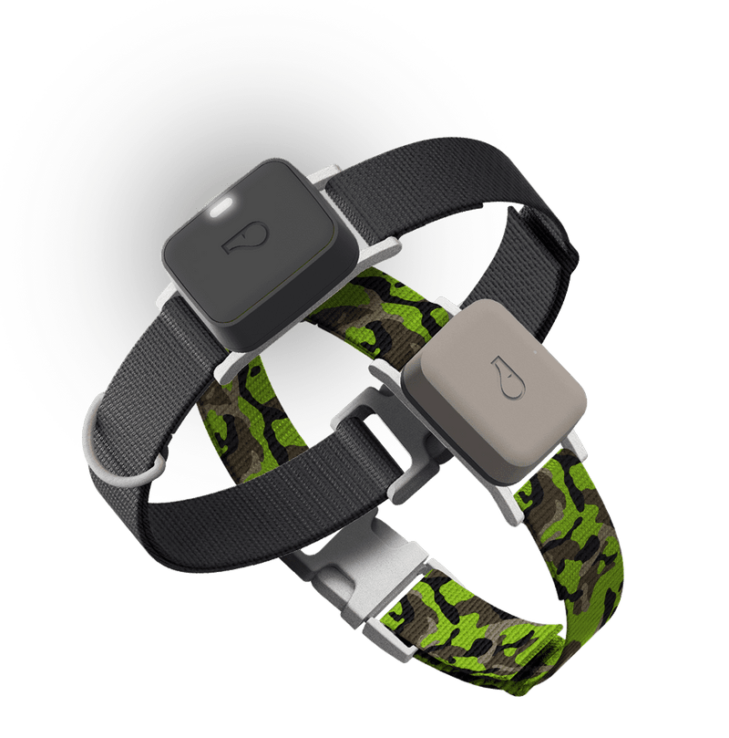 Whistle GO & GO Explore GPS Pet Trackers