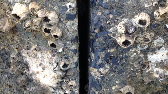construction-joint-reseal