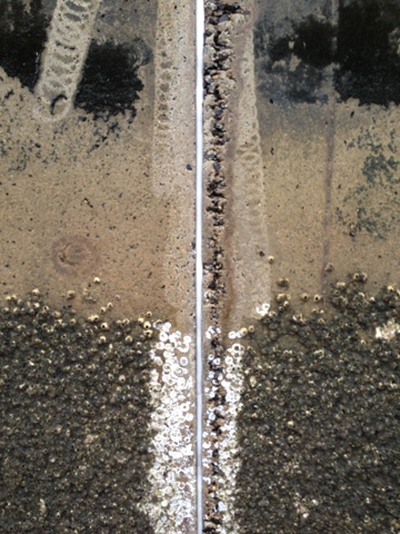 Resealed construction joint