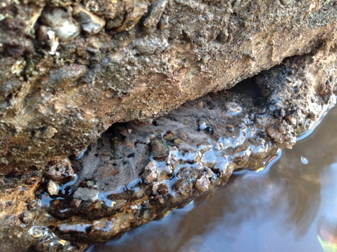 Cracked revetment wall footing