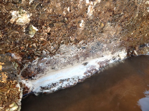 Repaired revetment wall footing