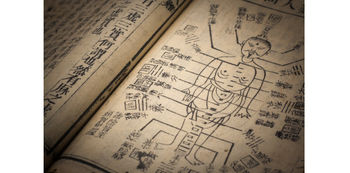 Acupuncture chart of human body