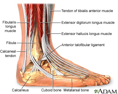 What causes Foot and Ankle pain?