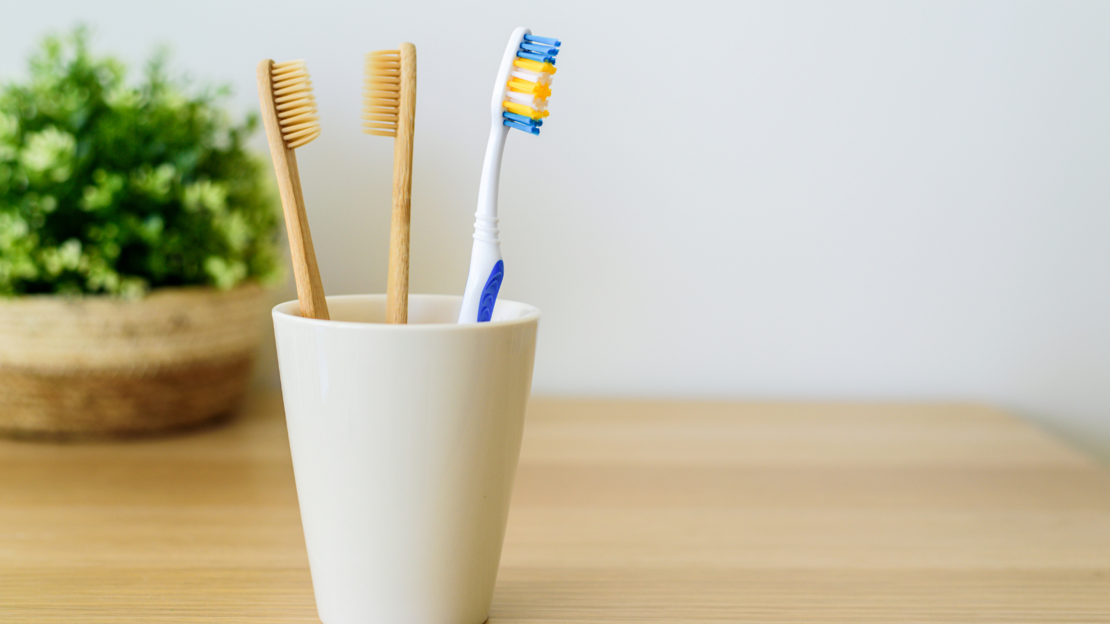 closeup of toothbrushes