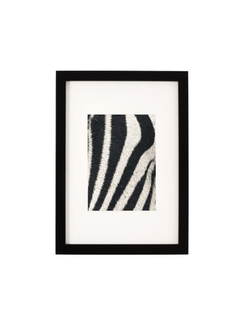 Zebra Frame Simply