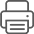 Print Page Icon