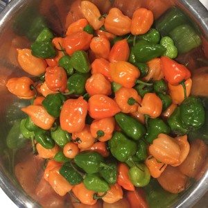 Jerk-Marinade.jpg