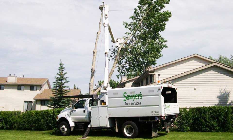 Sawyer's Tree Services truck