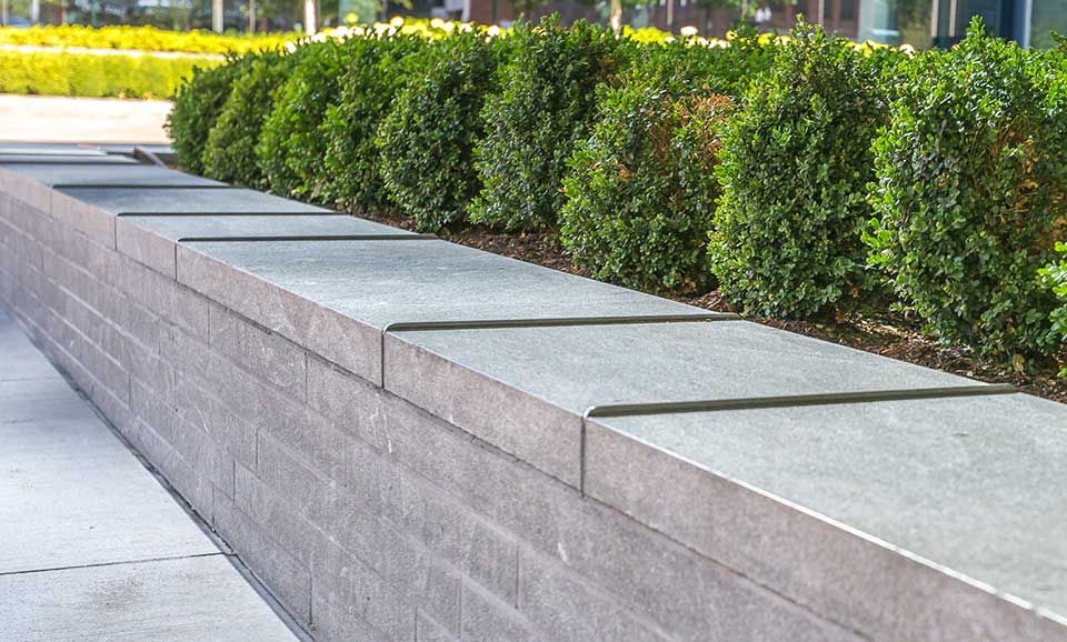 Hedges in a corporate landscape