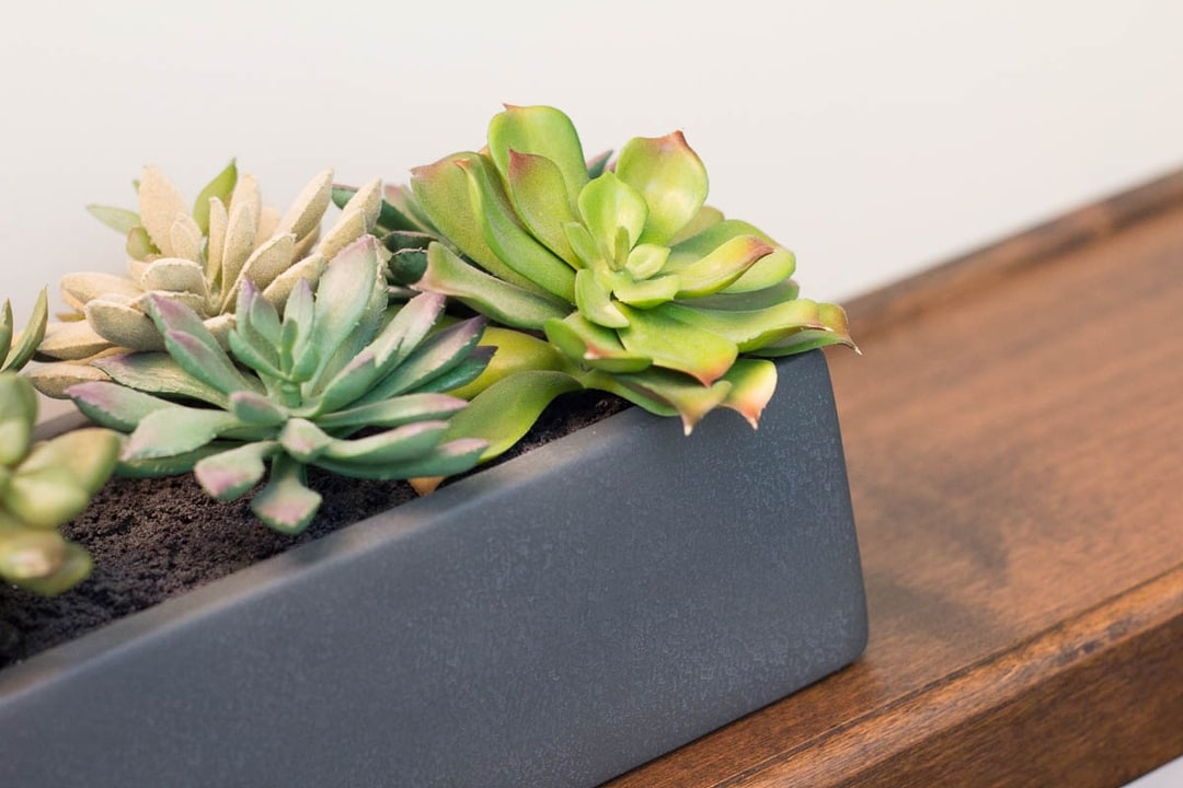 About Us Carmel Mountain Dental Care