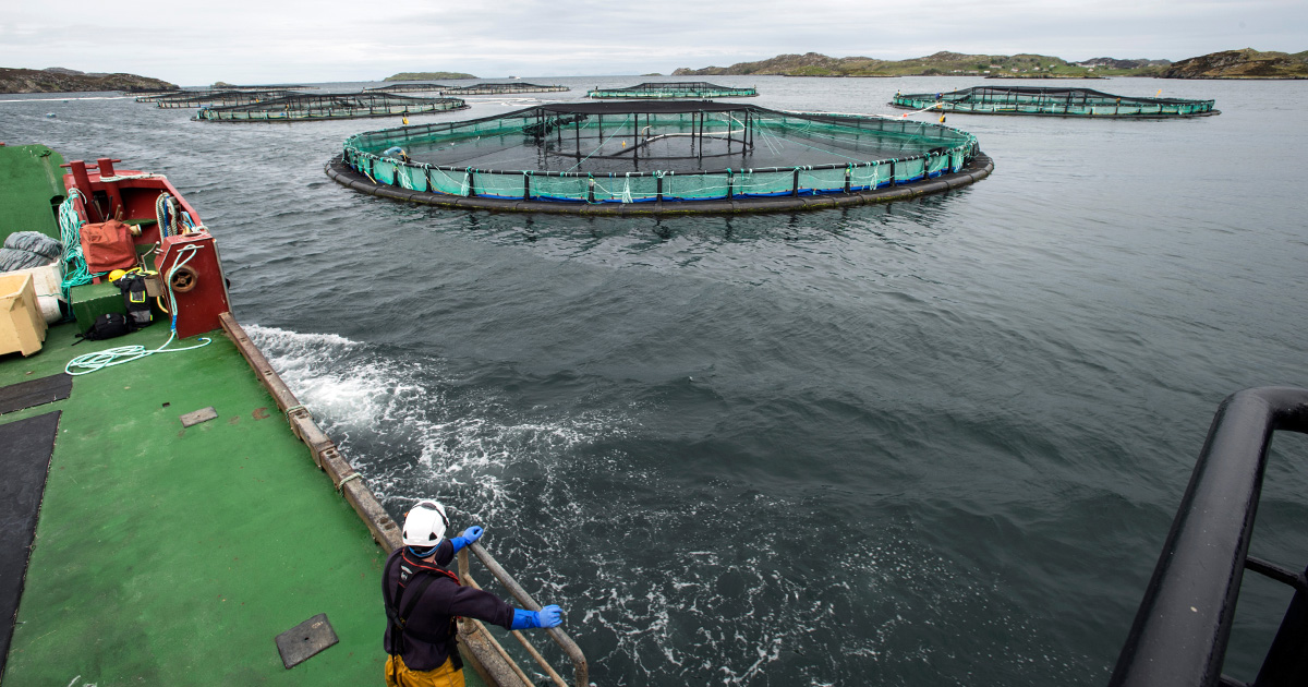 John Lawrie Metals Repurposes Over 2200 Tonnes of Material Destined for Recycling
