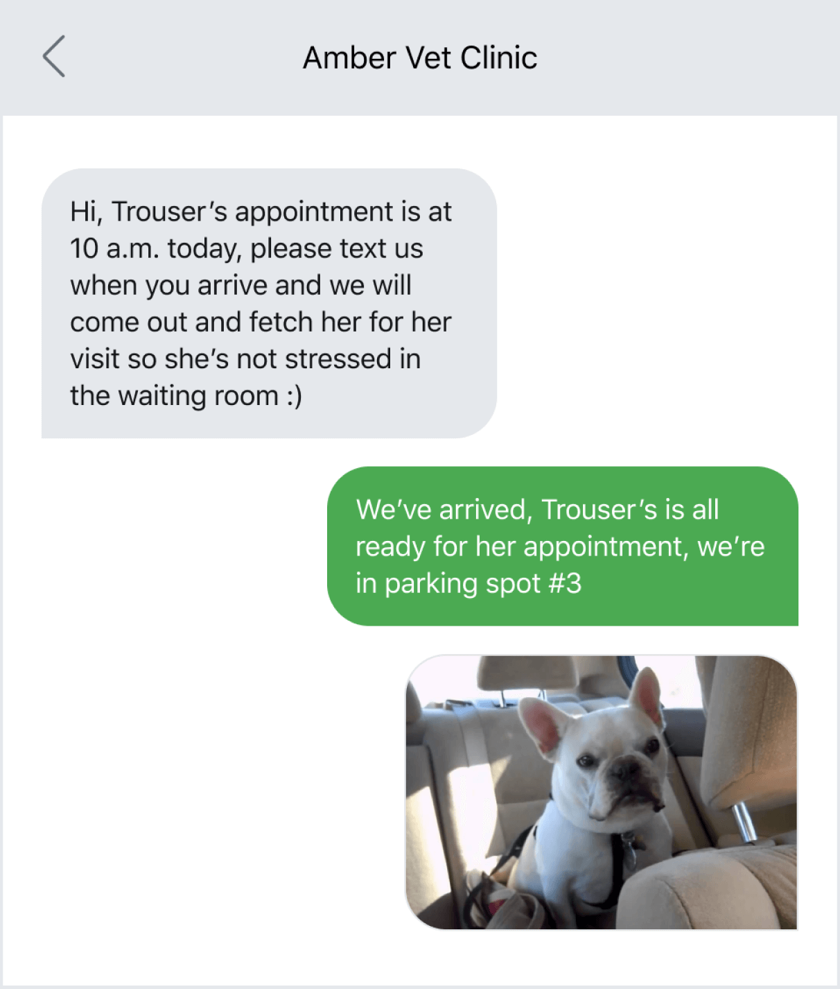 Updating customers on waiting room protocol via text