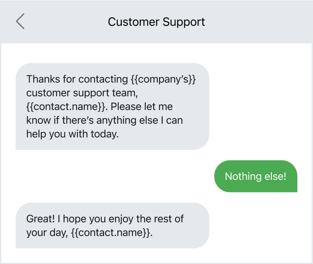 An example of a customer support interaction