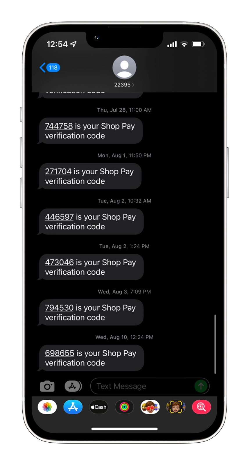 An example of Shop Pay in action.