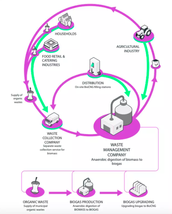 The action plan laid out in the Circle Scan: how to turn waste biomass into bioCNG.