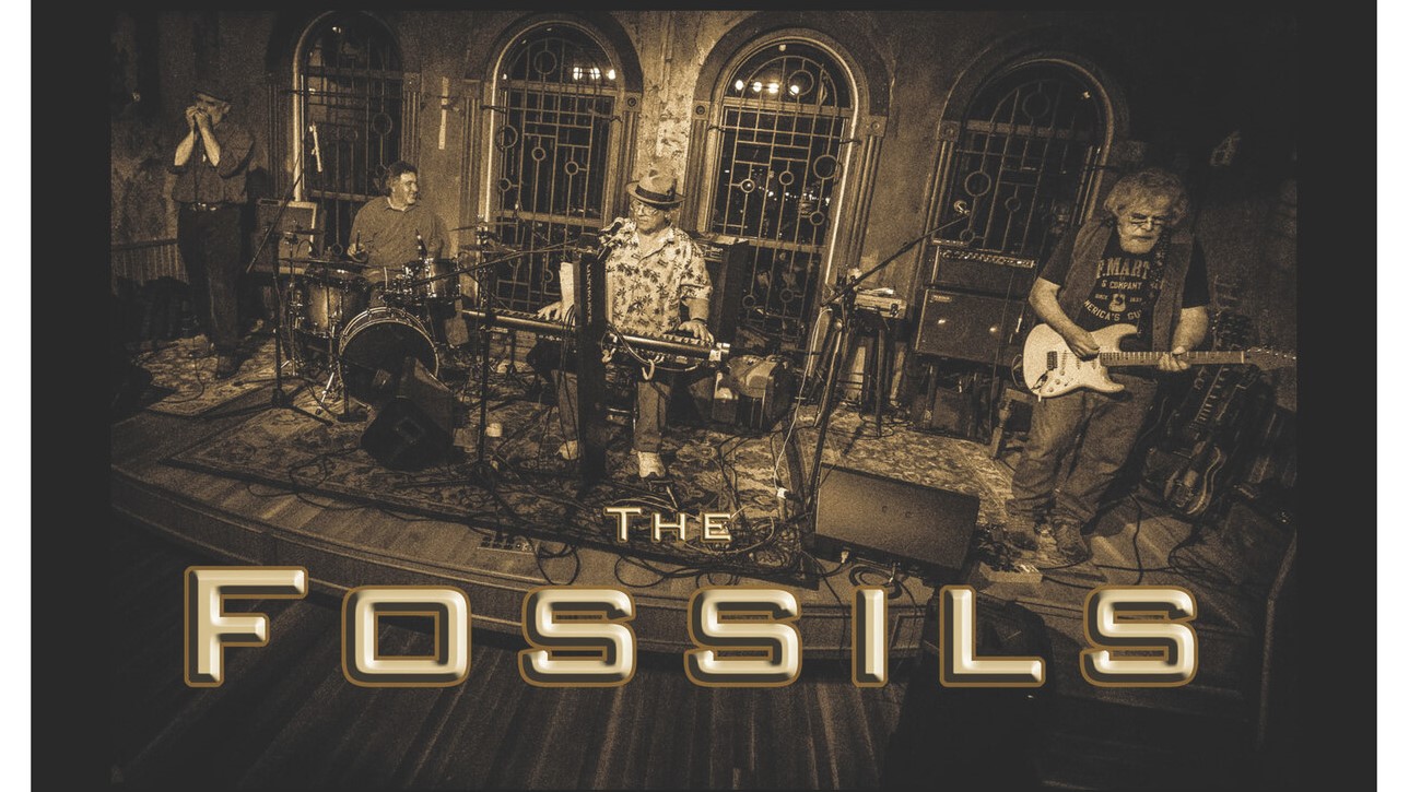 The Fossils