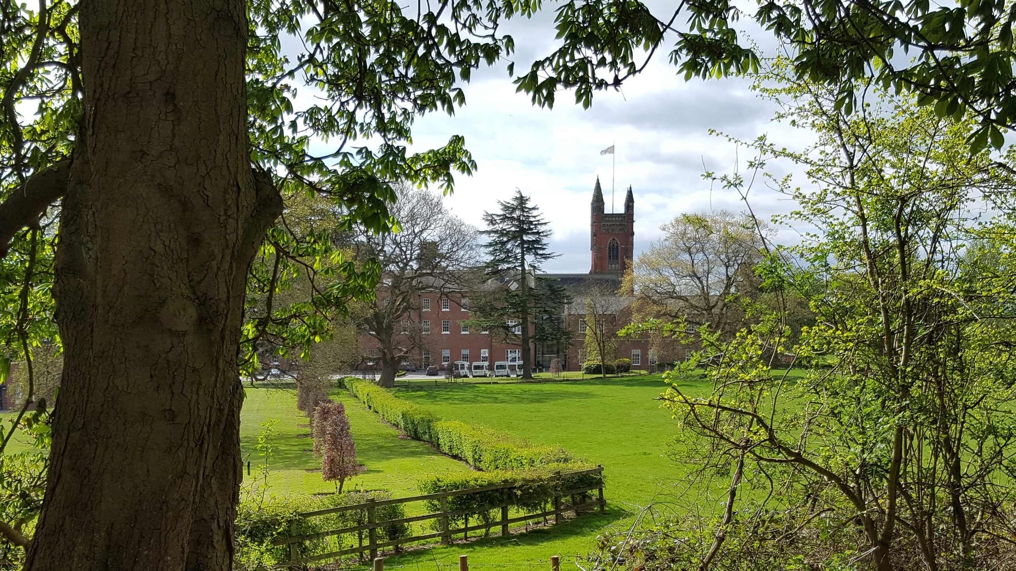 The Tree and Woodland Company Arboriculture & Landscape Management