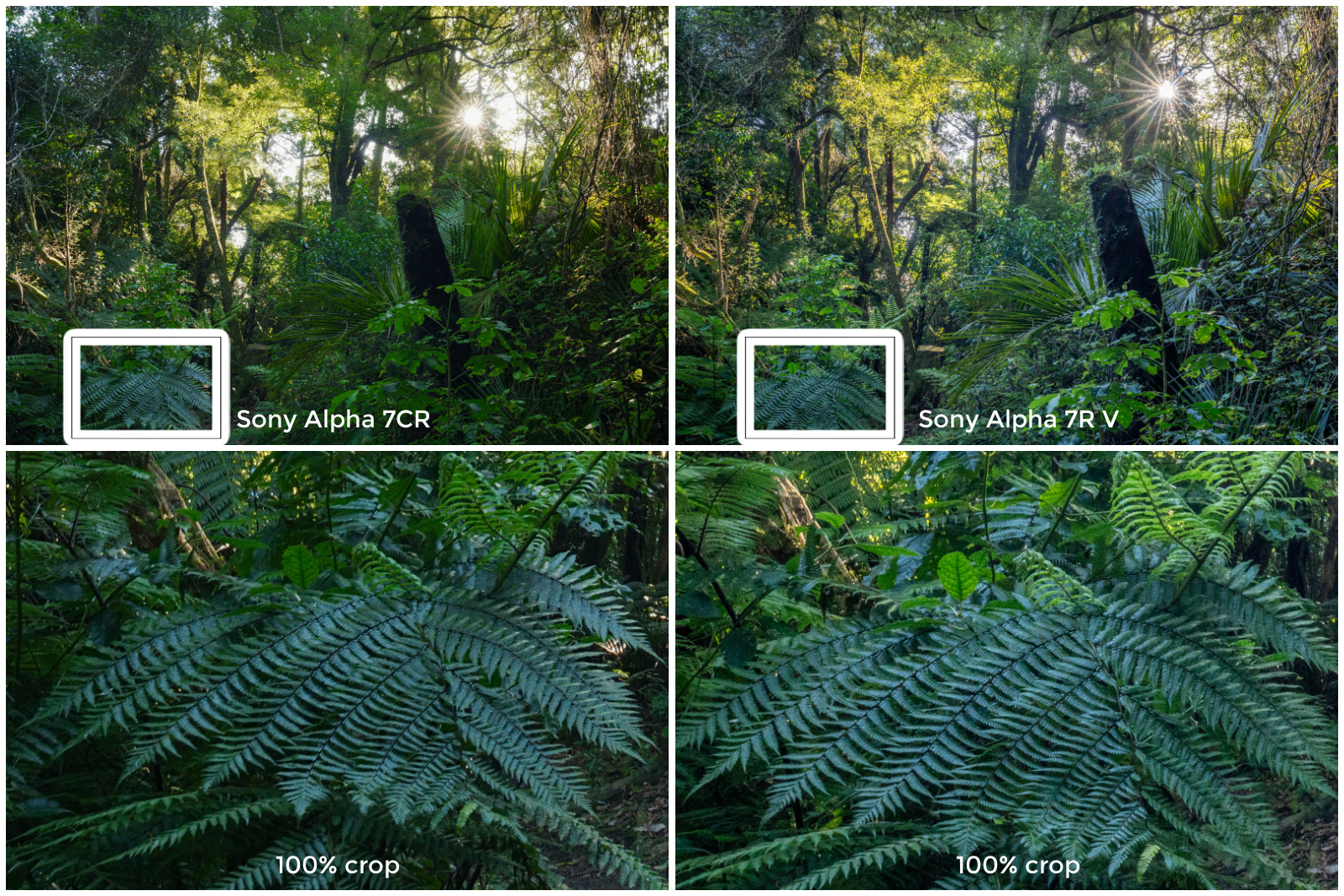 The new Sony Alpha 7C R vs the Sony Alpha 7R V (design + features)