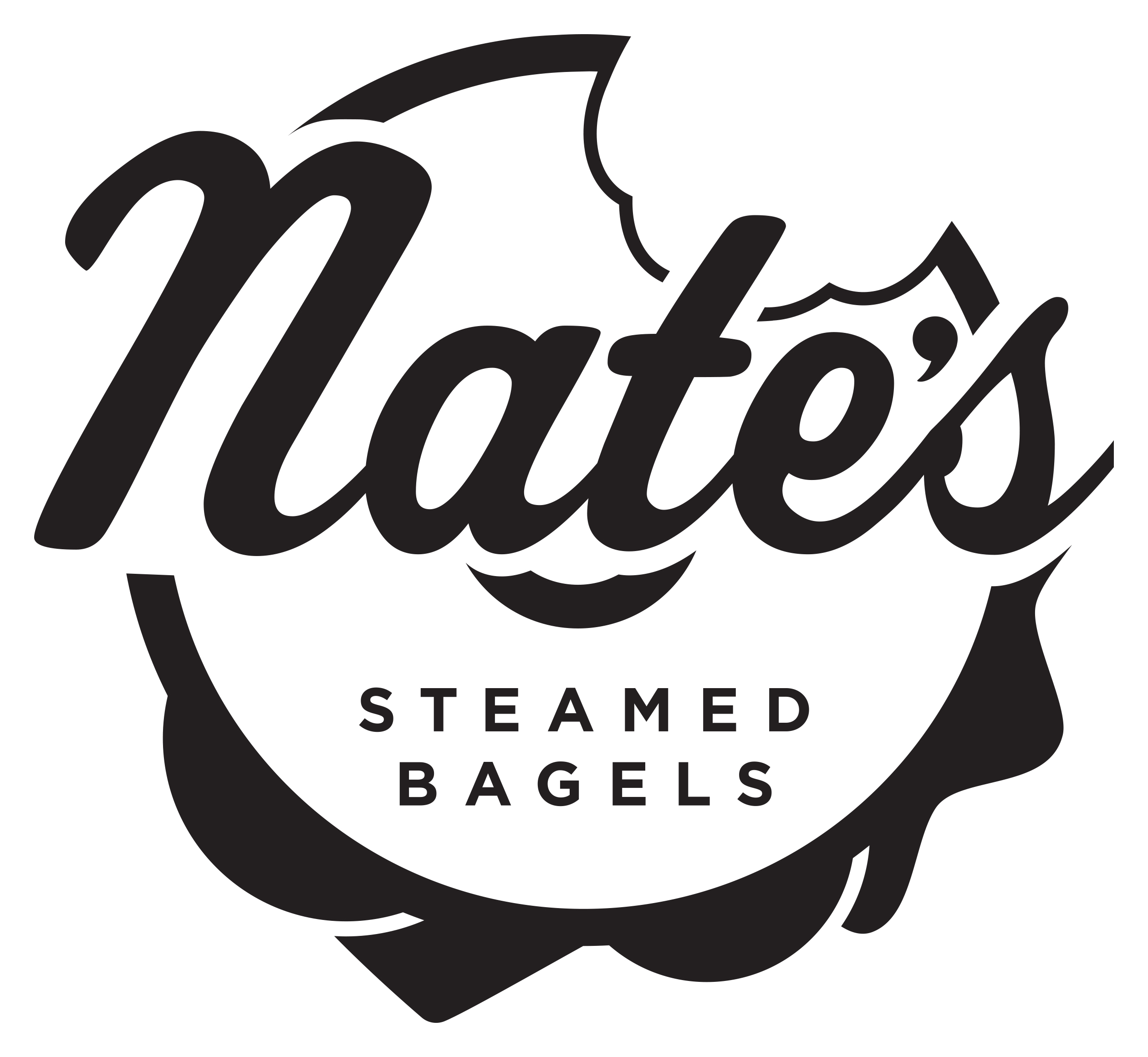 Nate's Steamed Bagels Logo