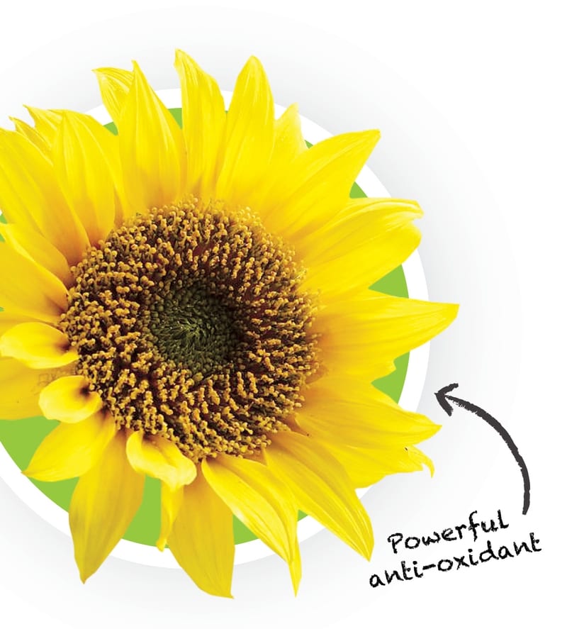 cprhair Sunflower Seed Extract