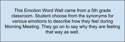Emotion word wall summary