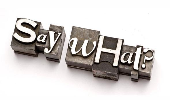 say what? image