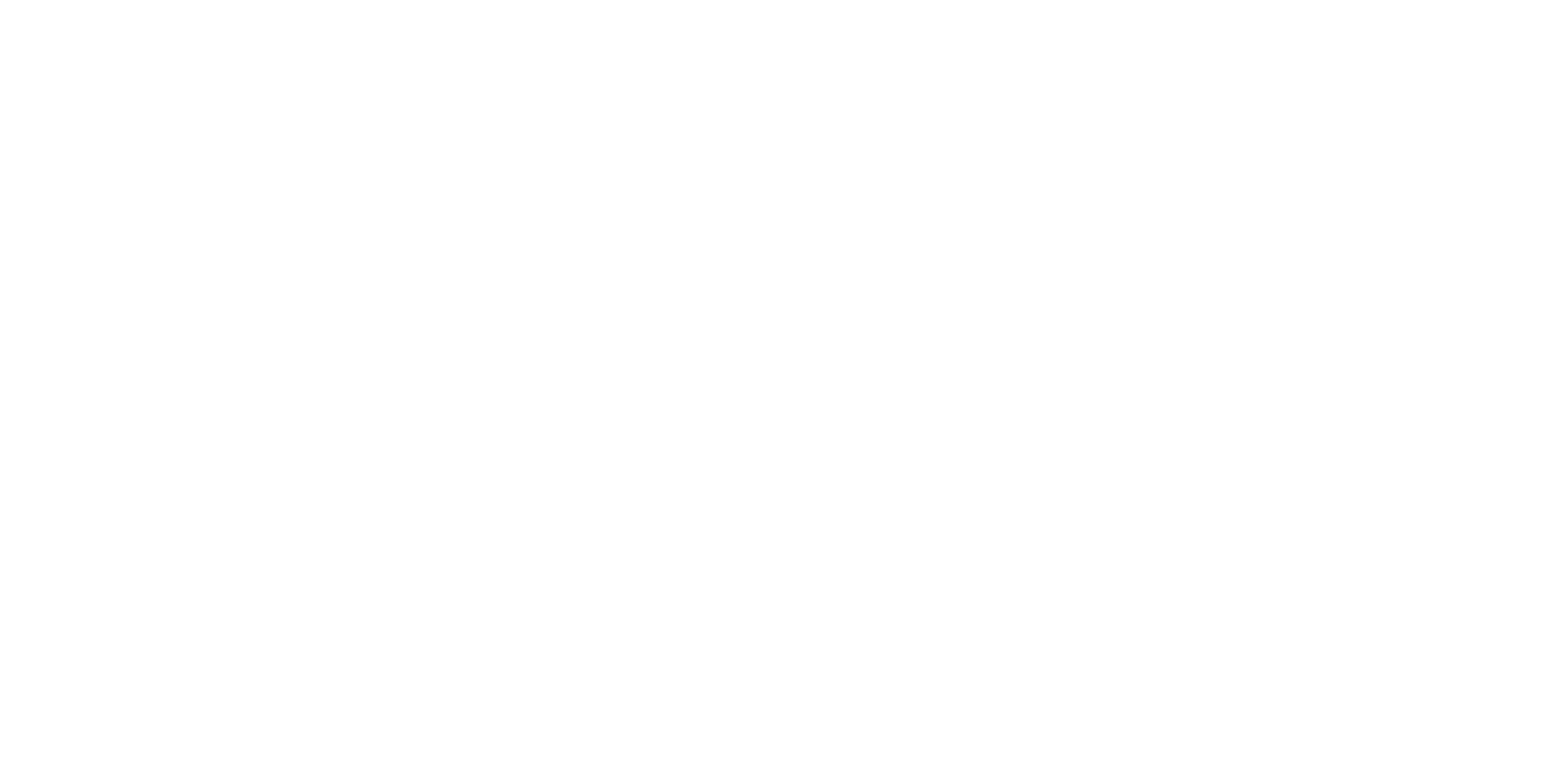 Tony Alva, Web Designer