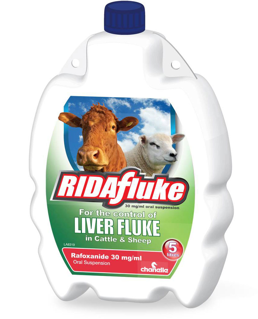 Ridafluke