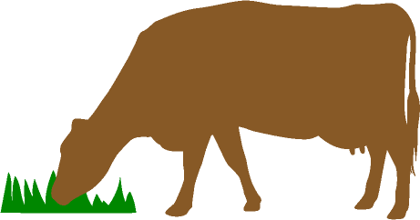 Strategic Grazing