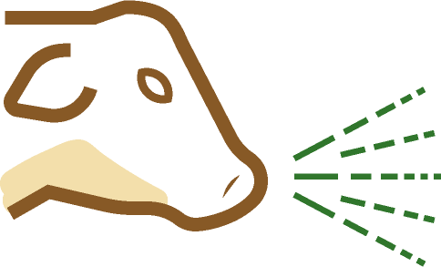 Coughing & Lungworm